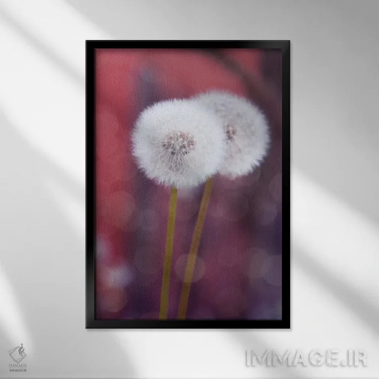 تابلو دکوراتیو گل قاصدک I اثر کلودیا دروسرت - نمای قابدار مشکی