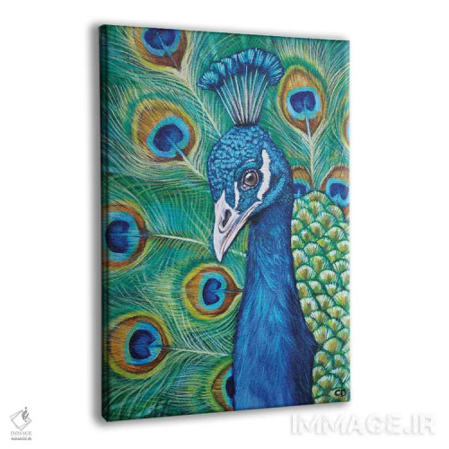 تابلو دکوراتیو طاووس اثر سیندی دودس - نمای پرسپکتیو محصول