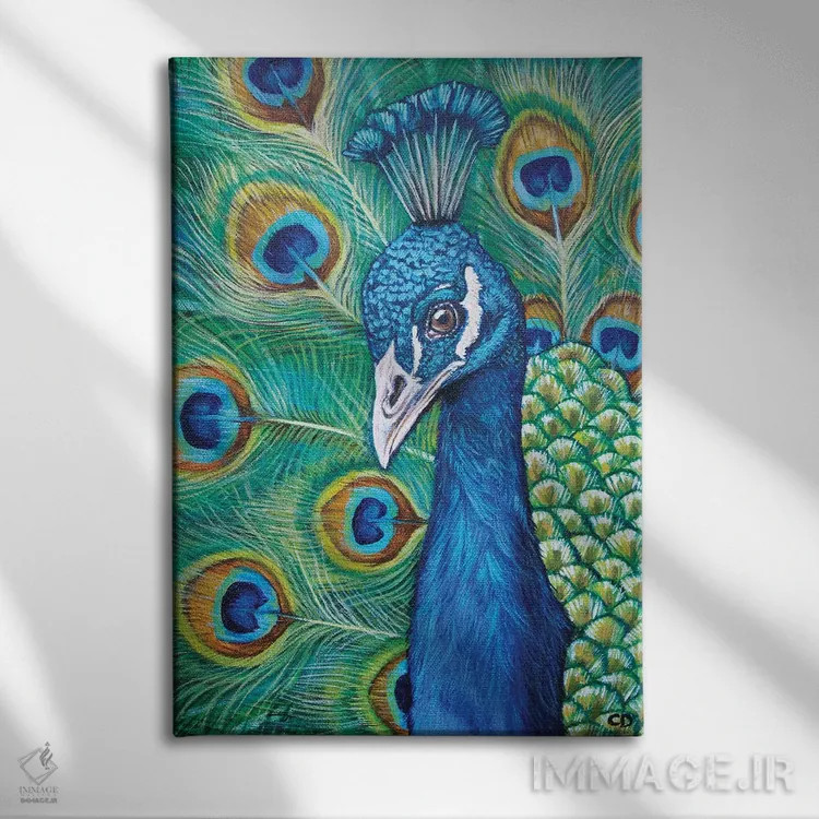 تابلو دکوراتیو طاووس اثر سیندی دودس - نمای روبهرو روی دیوار