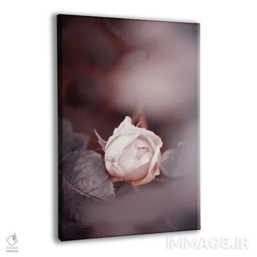 تابلو دکوراتیو نوستالژی اثر کلودیا دروسرت - نمای پرسپکتیو محصول