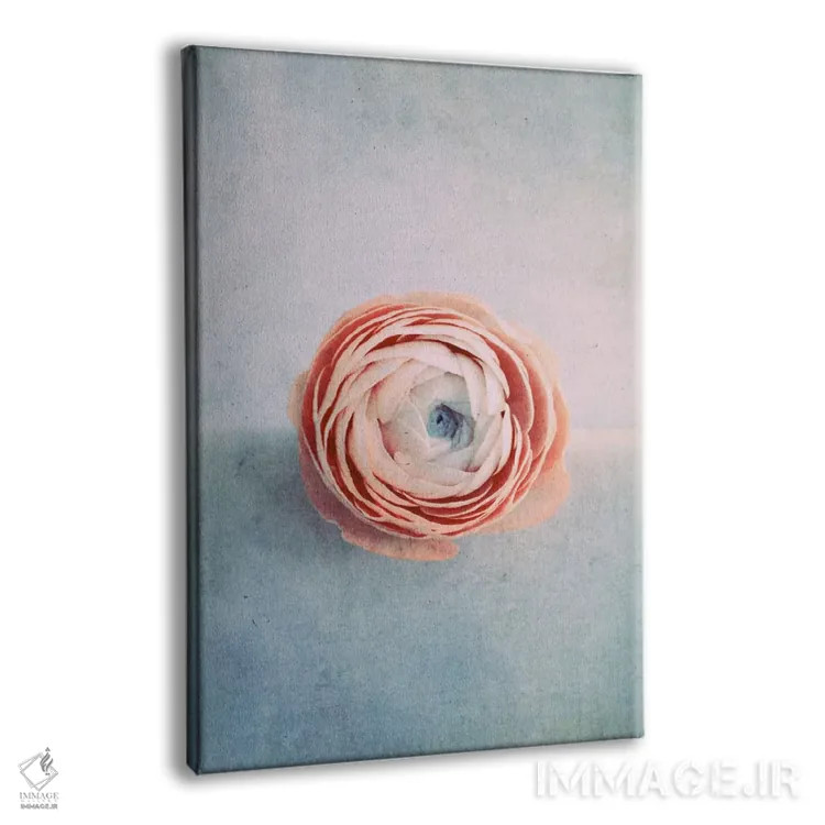 تابلو دکوراتیو خیالبافی اثر کلودیا دروسرت - نمای پرسپکتیو محصول