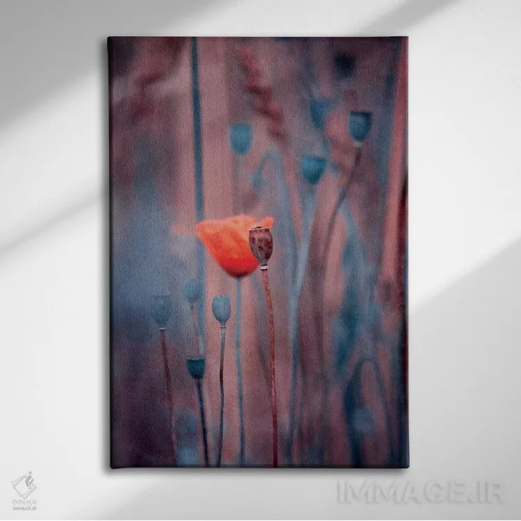 تابلو دکوراتیو نجواها اثر کلودیا دروسرت - نمای روبهرو روی دیوار