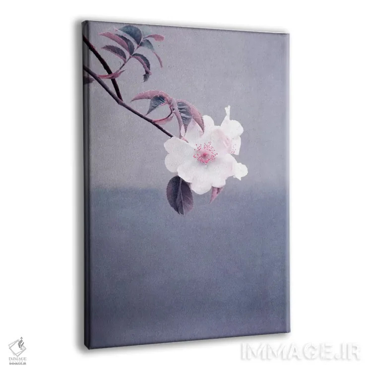 تابلو دکوراتیو رز وحشی اثر کلودیا دروسرت - نمای پرسپکتیو محصول