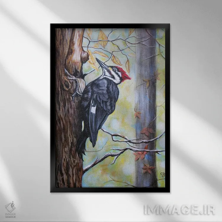 تابلو دکوراتیو وودی اثر سیندی دودس - نمای قابدار مشکی