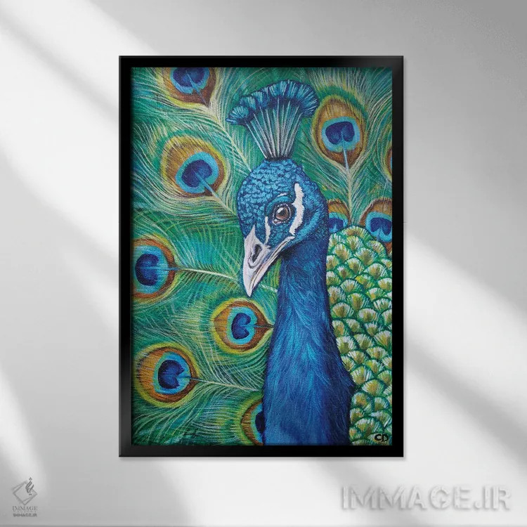 تابلو دکوراتیو طاووس اثر سیندی دودس - نمای قابدار مشکی