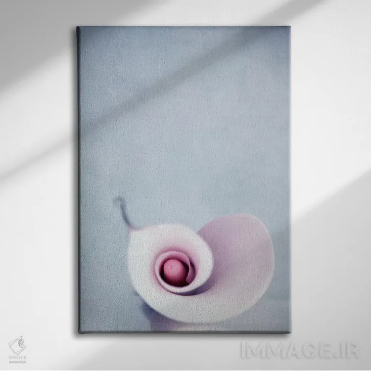 تابلو دکوراتیو کالا اثر کلودیا دروسرت - نمای روبهرو روی دیوار