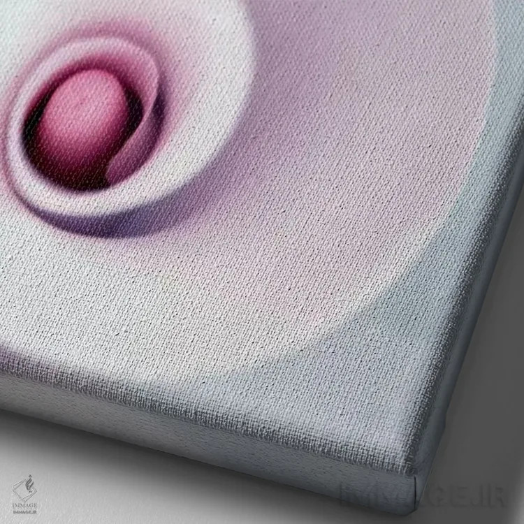 تابلو دکوراتیو کالا اثر کلودیا دروسرت - نمای نزدیک بافت بوم