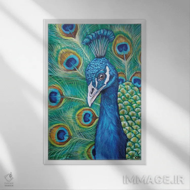 تابلو دکوراتیو طاووس اثر سیندی دودس - نمای قابدار سفید