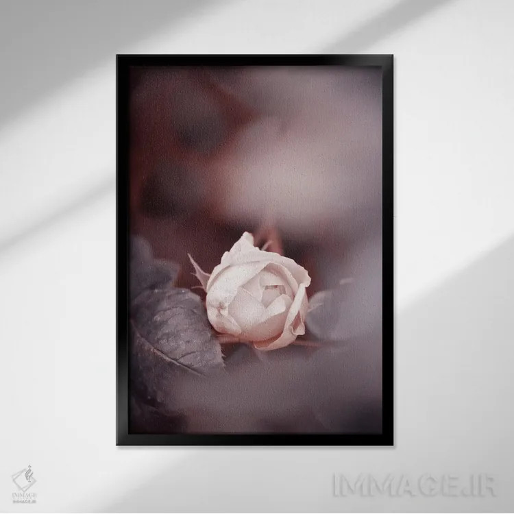 تابلو دکوراتیو نوستالژی اثر کلودیا دروسرت - نمای قابدار مشکی