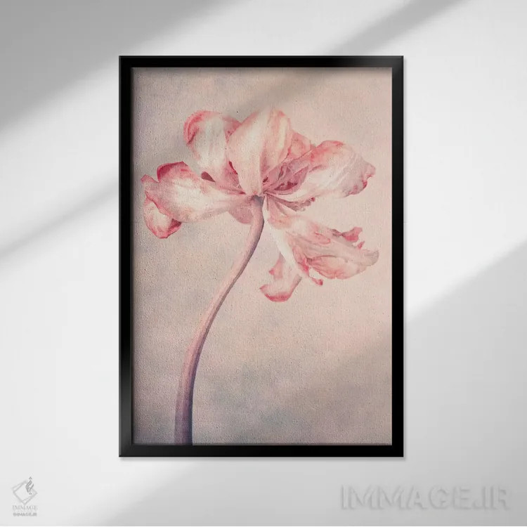 تابلو دکوراتیو مه اثر کلودیا دروسرت - نمای قابدار مشکی