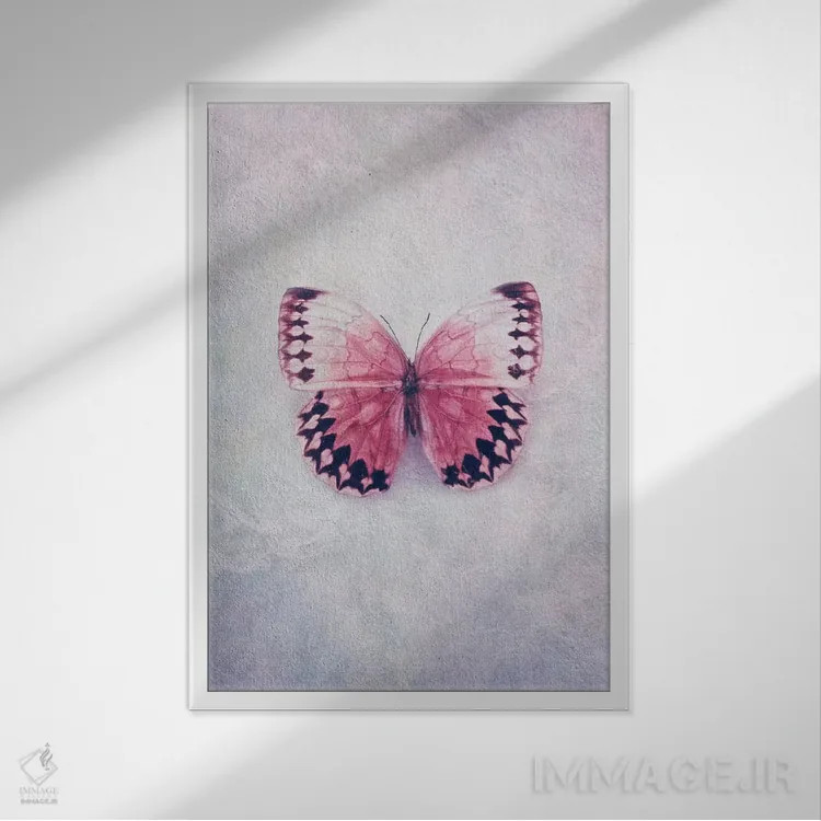 تابلو دکوراتیو آزادی اثر کلودیا دروسرت - نمای قابدار سفید