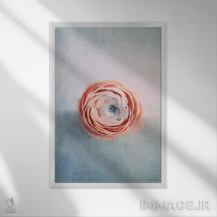 تابلو دکوراتیو خیالبافی اثر کلودیا دروسرت - نمای قابدار سفید