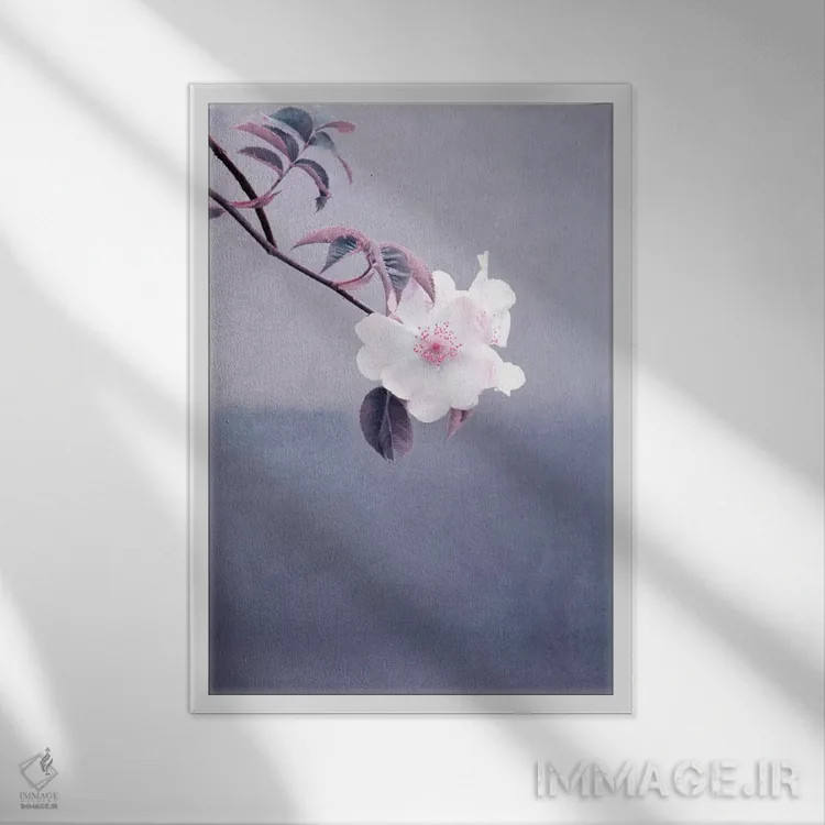 تابلو دکوراتیو رز وحشی اثر کلودیا دروسرت - نمای قابدار سفید