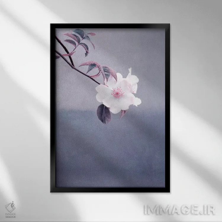 تابلو دکوراتیو رز وحشی اثر کلودیا دروسرت - نمای قابدار مشکی