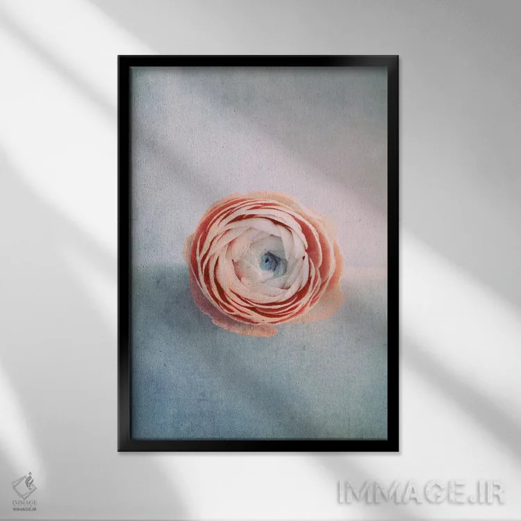 تابلو دکوراتیو خیالبافی اثر کلودیا دروسرت - نمای قابدار مشکی