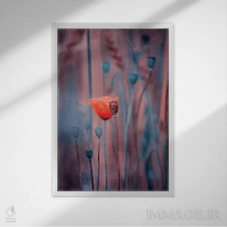 تابلو دکوراتیو نجواها اثر کلودیا دروسرت - نمای قابدار سفید