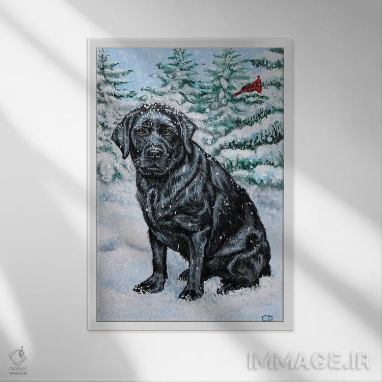 تابلو دکوراتیو لابرادور سیاه برفی اثر سیندی دودس - نمای قابدار سفید