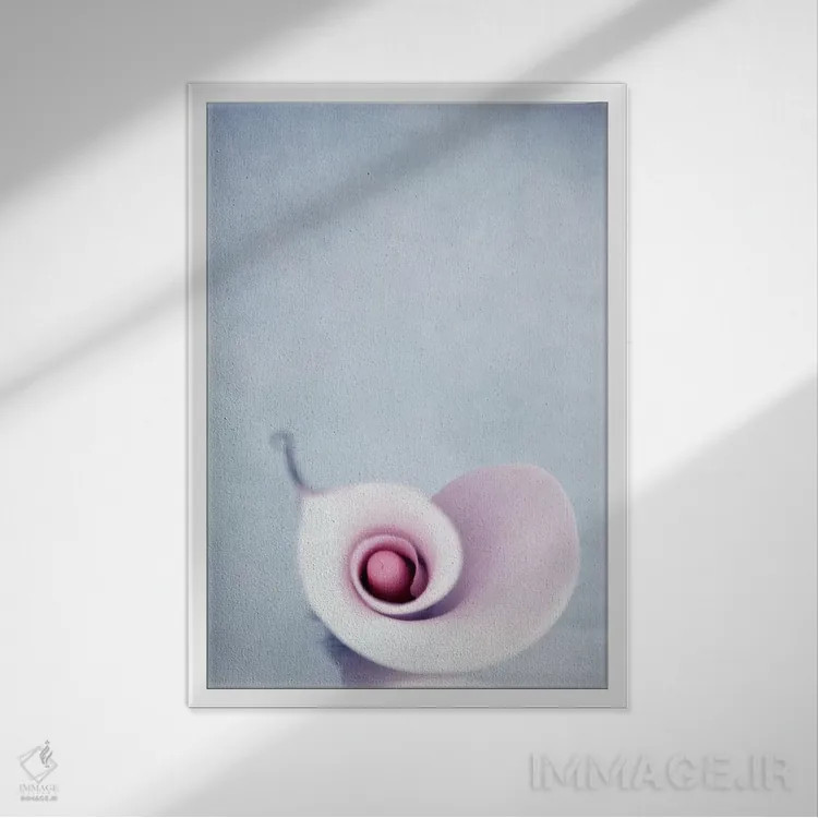 تابلو دکوراتیو کالا اثر کلودیا دروسرت - نمای قابدار سفید