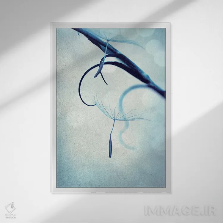 تابلو دکوراتیو شناور بودن اثر کلودیا دروسرت - نمای قابدار سفید