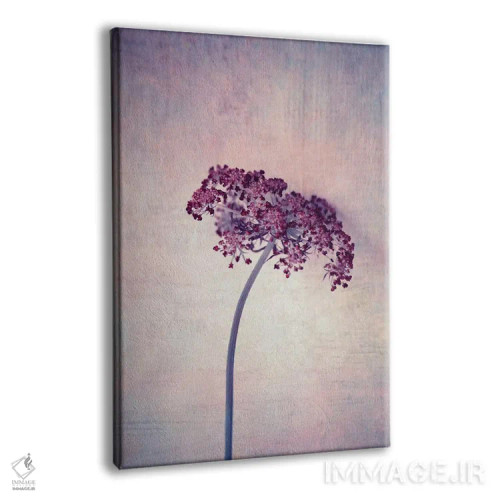 تابلو دکوراتیو یاس بنفش اثر کلودیا دروسرت - نمای پرسپکتیو محصول