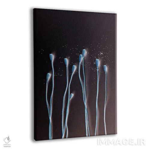 تابلو دکوراتیو خشخاش در آبی اثر کلودیا دروسرت - نمای پرسپکتیو محصول