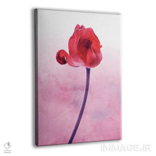 تابلو دکوراتیو لاله قرمز اثر کلودیا دروسرت - نمای پرسپکتیو محصول