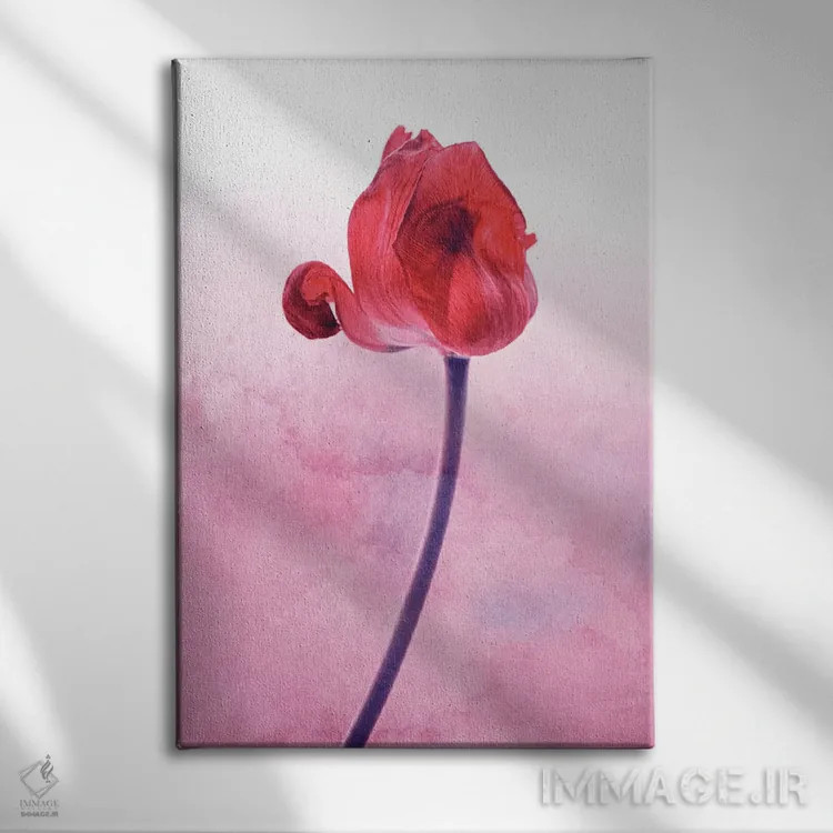 تابلو دکوراتیو لاله قرمز اثر کلودیا دروسرت - نمای روبهرو روی دیوار