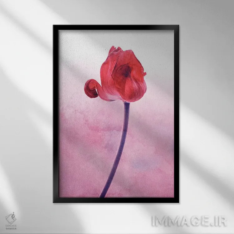 تابلو دکوراتیو لاله قرمز اثر کلودیا دروسرت - نمای قابدار مشکی
