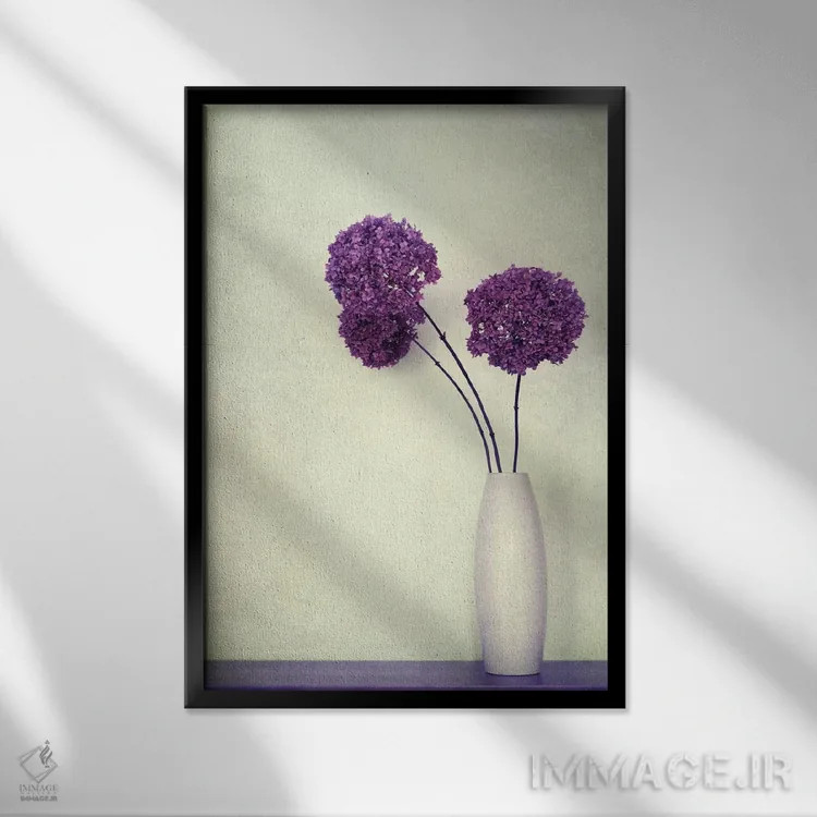 تابلو دکوراتیو دلربا اثر کلودیا دروسرت - نمای قابدار مشکی