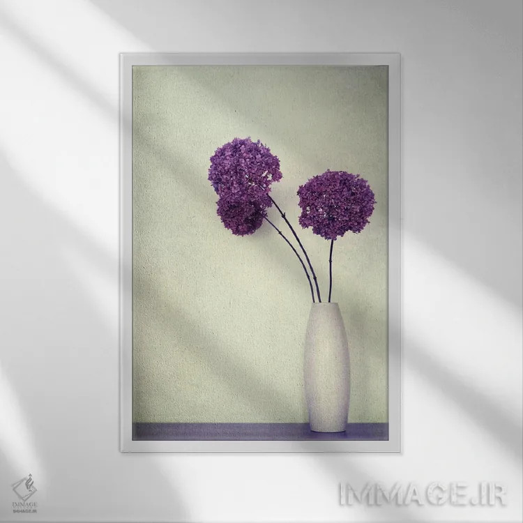 تابلو دکوراتیو دلربا اثر کلودیا دروسرت - نمای قابدار سفید