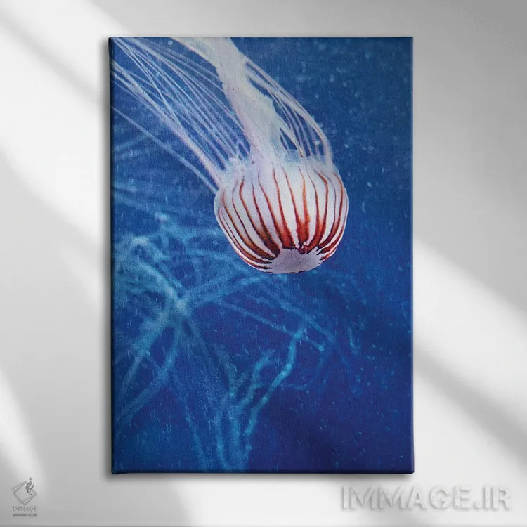 تابلو دکوراتیو عروس دریایی II اثر کلودیا دروسرت - نمای روبهرو روی دیوار
