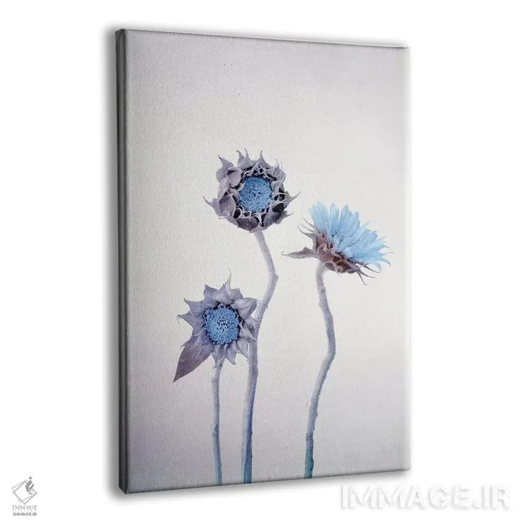 تابلو دکوراتیو آفتابگردان اثر کلودیا دروسرت - نمای پرسپکتیو محصول