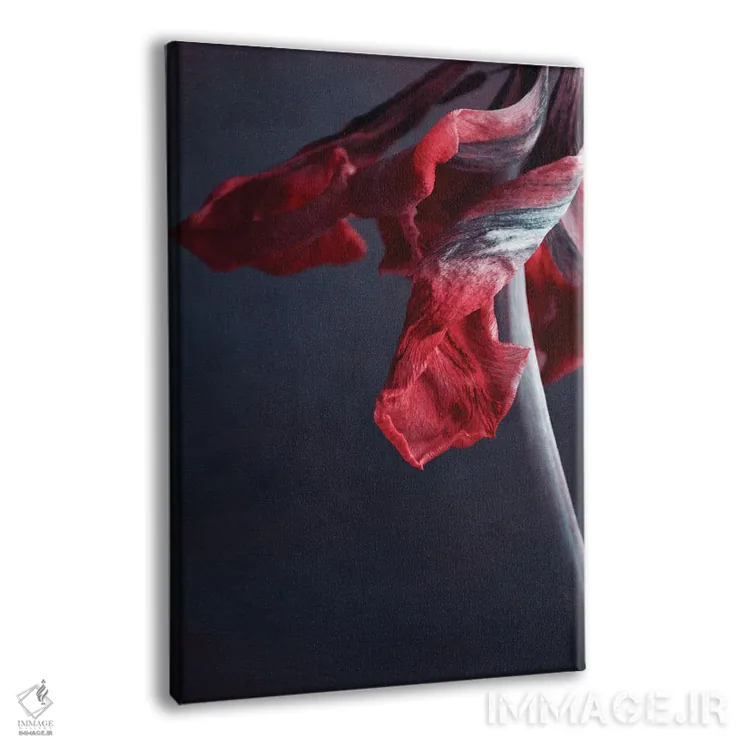 تابلو دکوراتیو قدرت اثر کلودیا دروسرت - نمای پرسپکتیو محصول