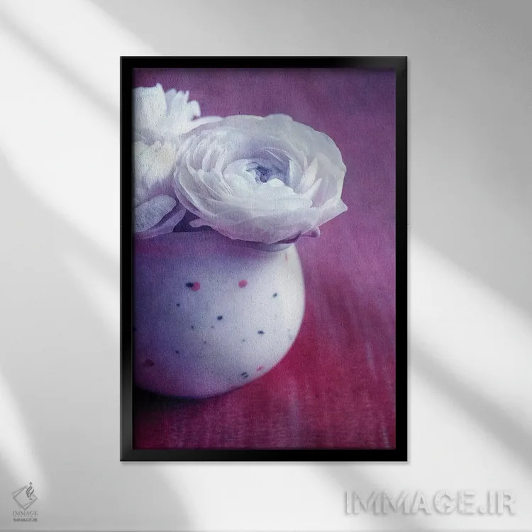 تابلو دکوراتیو گل های سفید اثر کلودیا دروسرت - نمای قابدار مشکی