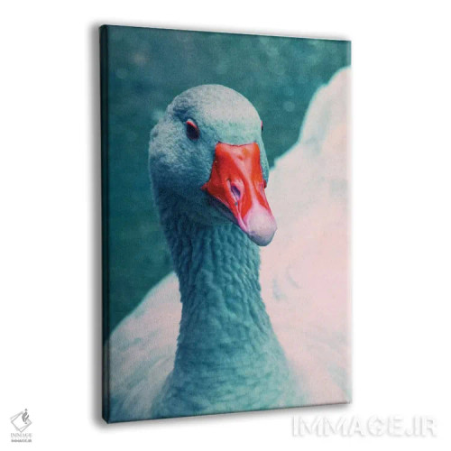 تابلو دکوراتیو خانم اردک اثر کلودیا دروسرت - نمای پرسپکتیو محصول