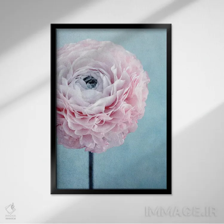 تابلو دکوراتیو رویاهای شیرین اثر کلودیا دروسرت - نمای قابدار مشکی