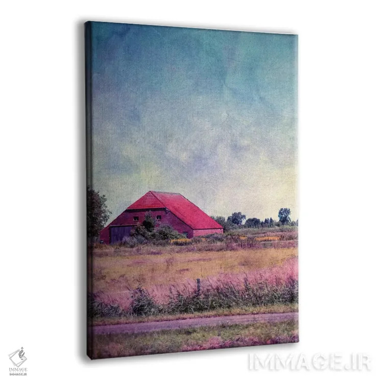 تابلو دکوراتیو خانه در هلند اثر کلودیا دروسرت - نمای پرسپکتیو محصول