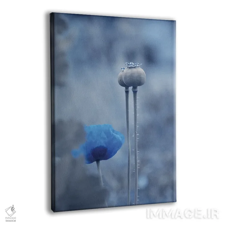 تابلو دکوراتیو ماه آبی اثر کلودیا دروسرت - نمای پرسپکتیو محصول