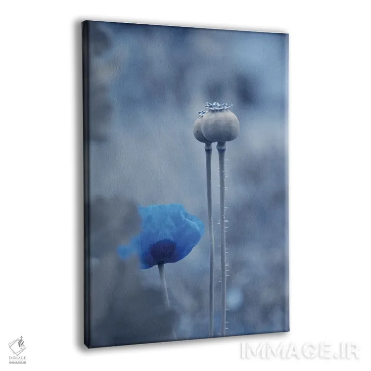 تابلو دکوراتیو ماه آبی اثر کلودیا دروسرت - نمای پرسپکتیو محصول