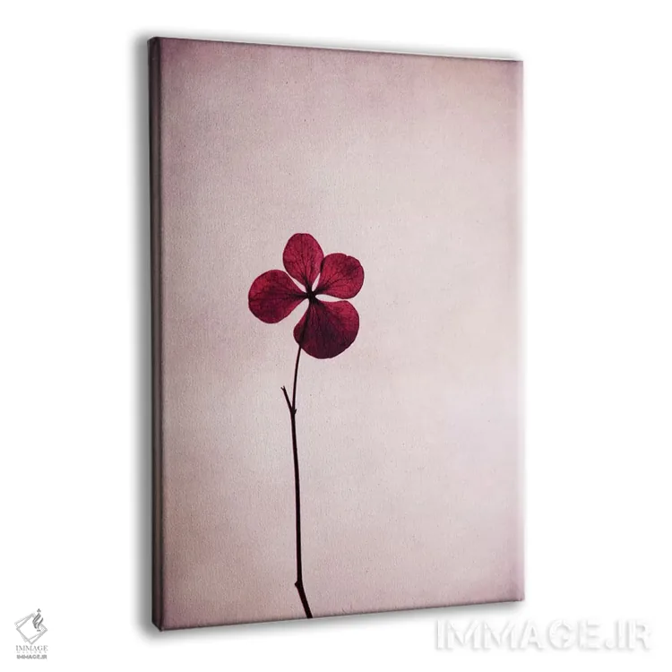 تابلو دکوراتیو هورتنسیا اثر کلودیا دروسرت - نمای پرسپکتیو محصول