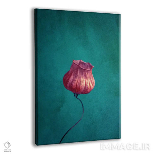 تابلو دکوراتیو خانم فانوس اثر کلودیا دروسرت - نمای پرسپکتیو محصول