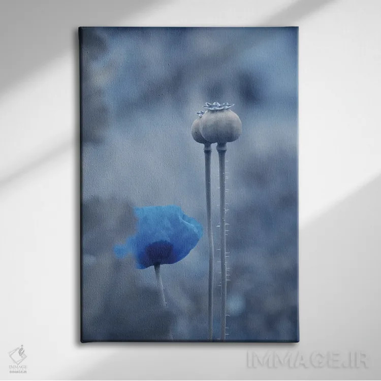 تابلو دکوراتیو ماه آبی اثر کلودیا دروسرت - نمای روبهرو روی دیوار