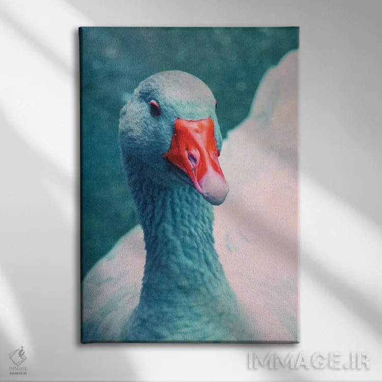 تابلو دکوراتیو خانم اردک اثر کلودیا دروسرت - نمای روبهرو روی دیوار