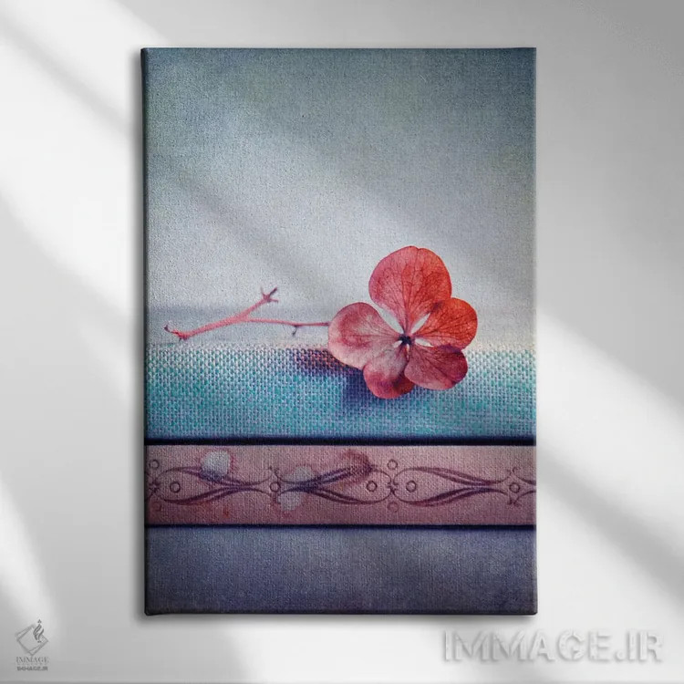 تابلو دکوراتیو هورتنسیا صورتی II اثر کلودیا دروسرت - نمای روبهرو روی دیوار