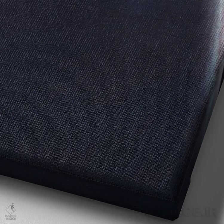 تابلو دکوراتیو قدرت اثر کلودیا دروسرت - نمای نزدیک بافت بوم