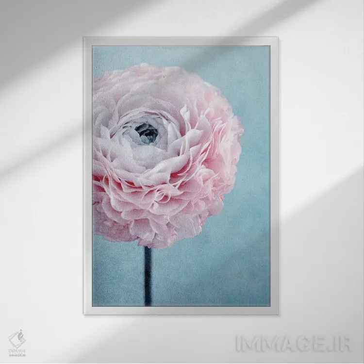 تابلو دکوراتیو رویاهای شیرین اثر کلودیا دروسرت - نمای قابدار سفید