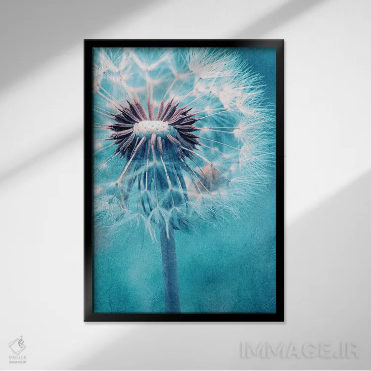 تابلو دکوراتیو قاصدک اثر کلودیا دروسرت - نمای قابدار مشکی