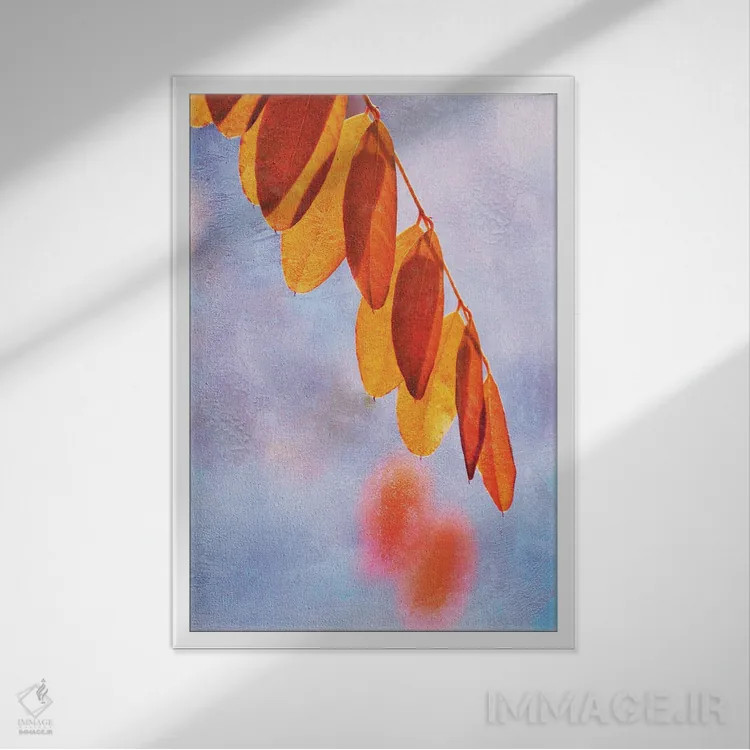 تابلو دکوراتیو نور پاییزی اثر کلودیا دروسرت - نمای قابدار سفید