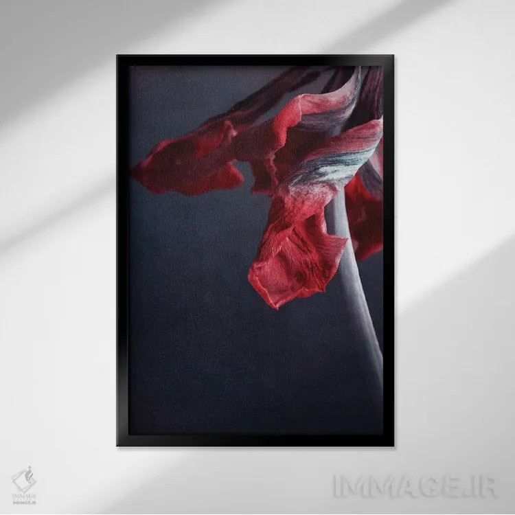 تابلو دکوراتیو قدرت اثر کلودیا دروسرت - نمای قابدار مشکی