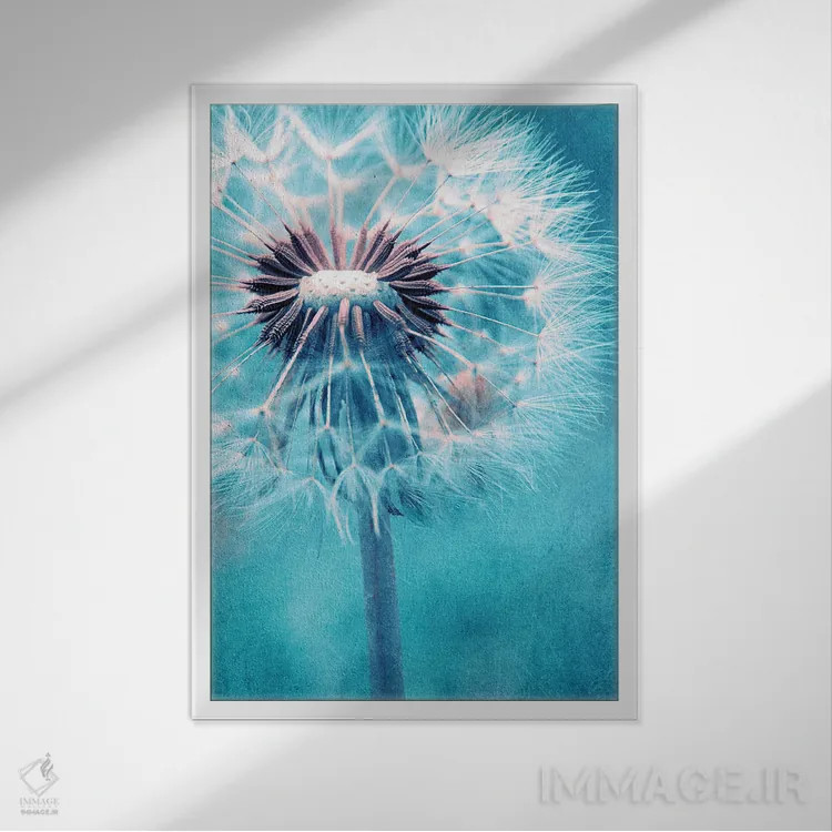 تابلو دکوراتیو قاصدک اثر کلودیا دروسرت - نمای قابدار سفید